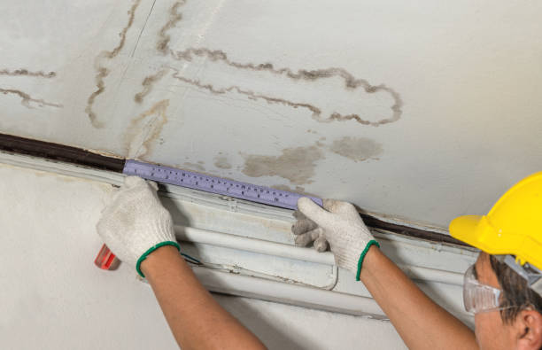 Reliable Mold Remediation contractor in Chisholm, ME by Water Damage Irwin